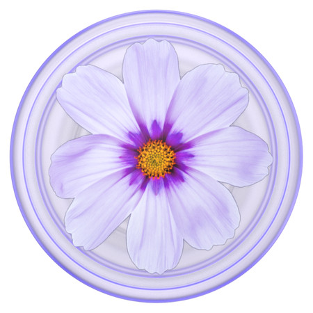 PopSockets - PopGrip PlantCore Purple Cosmo